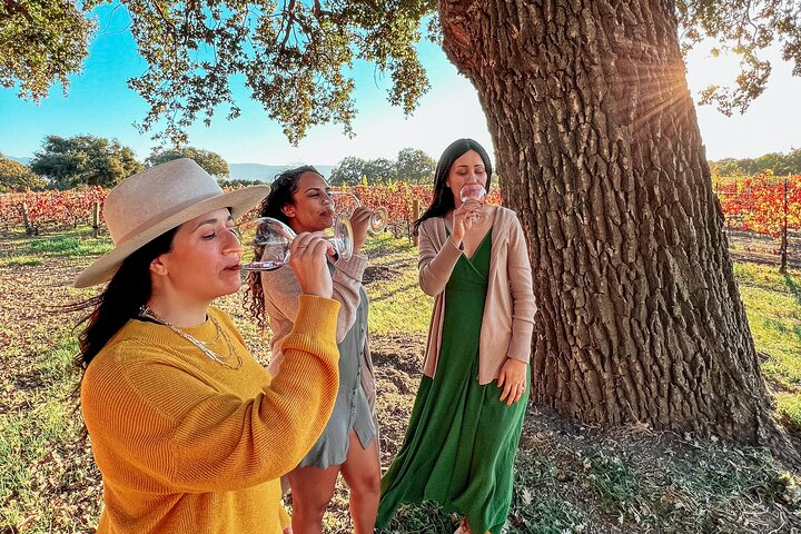 Santa Ynez Wine Shuttle - Photo 1 of 6